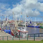 Kleine Moewe *