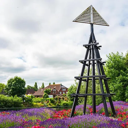 アパート Kleine Moewe ドルヌム