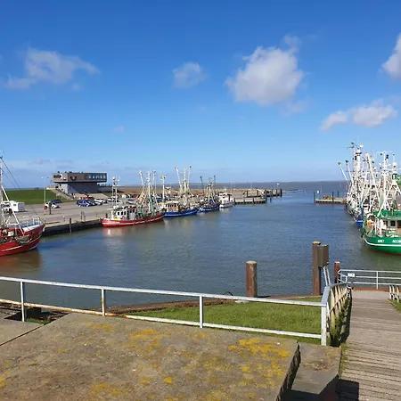 Kleine Moewe Dornum