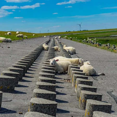 Kleine Moewe Lejlighed