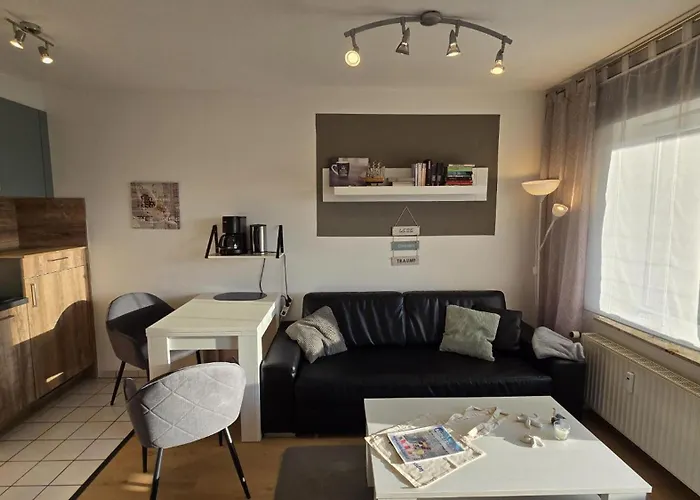 Kleine Moewe * Dornum