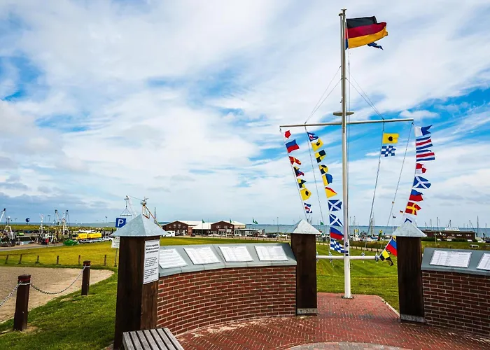 Kleine Moewe * Dornum