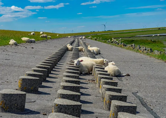 Kleine Moewe Lägenhet